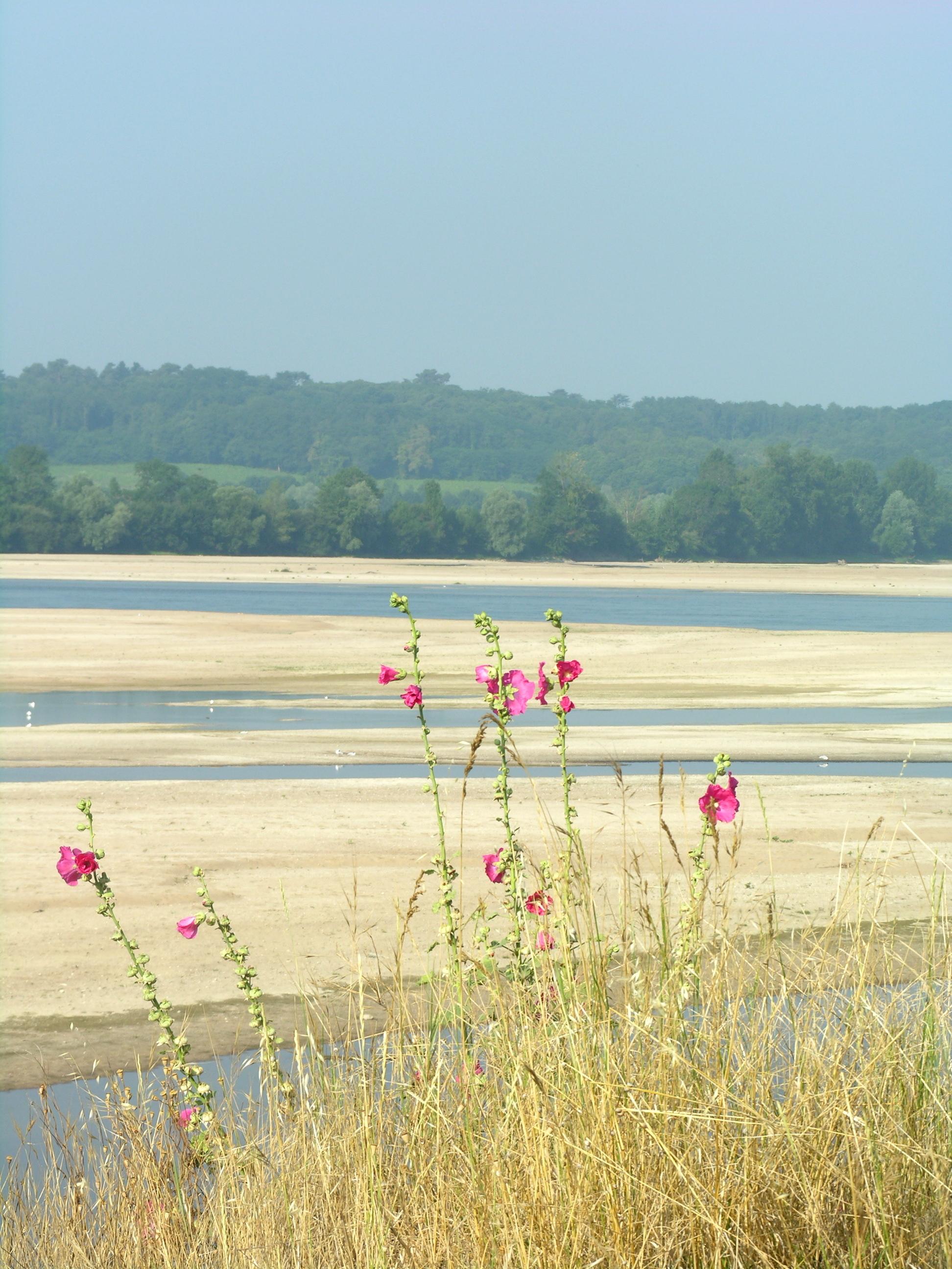 loire